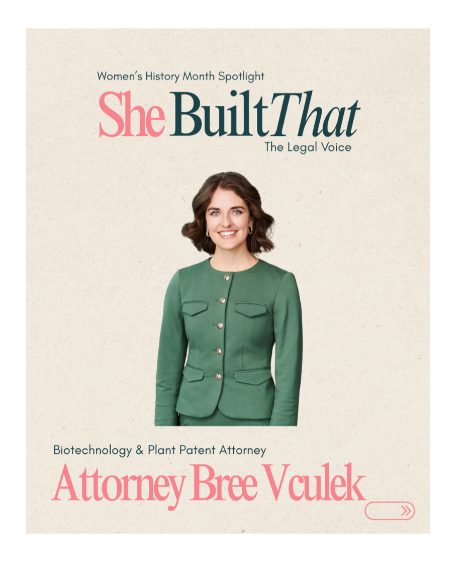 she built that: bree vculek