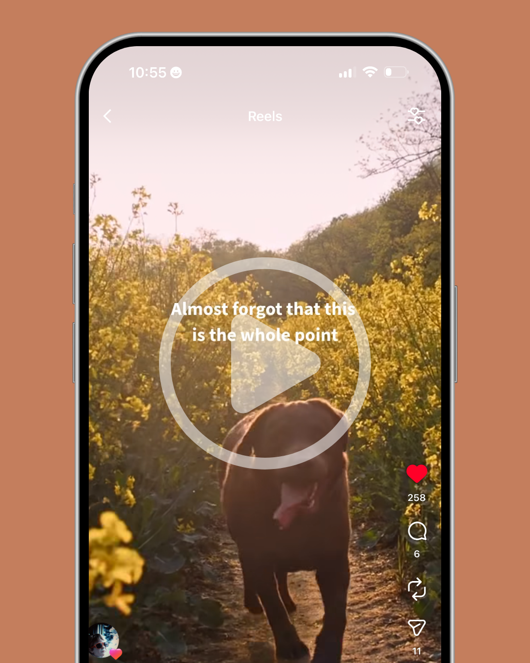 Almost Forgot Reel.png