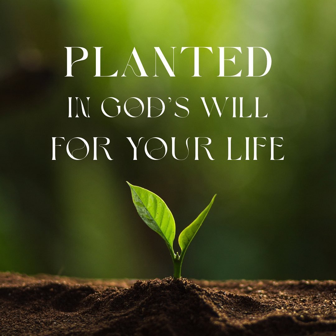🌱 PLANTED pt.2 

This past Sunday the Lord showed us the importance of being planted. In addition to learning how to be planted in His presence, we learned how to be planted in God&rsquo;s calling for our lives. We walked away with practical tips on