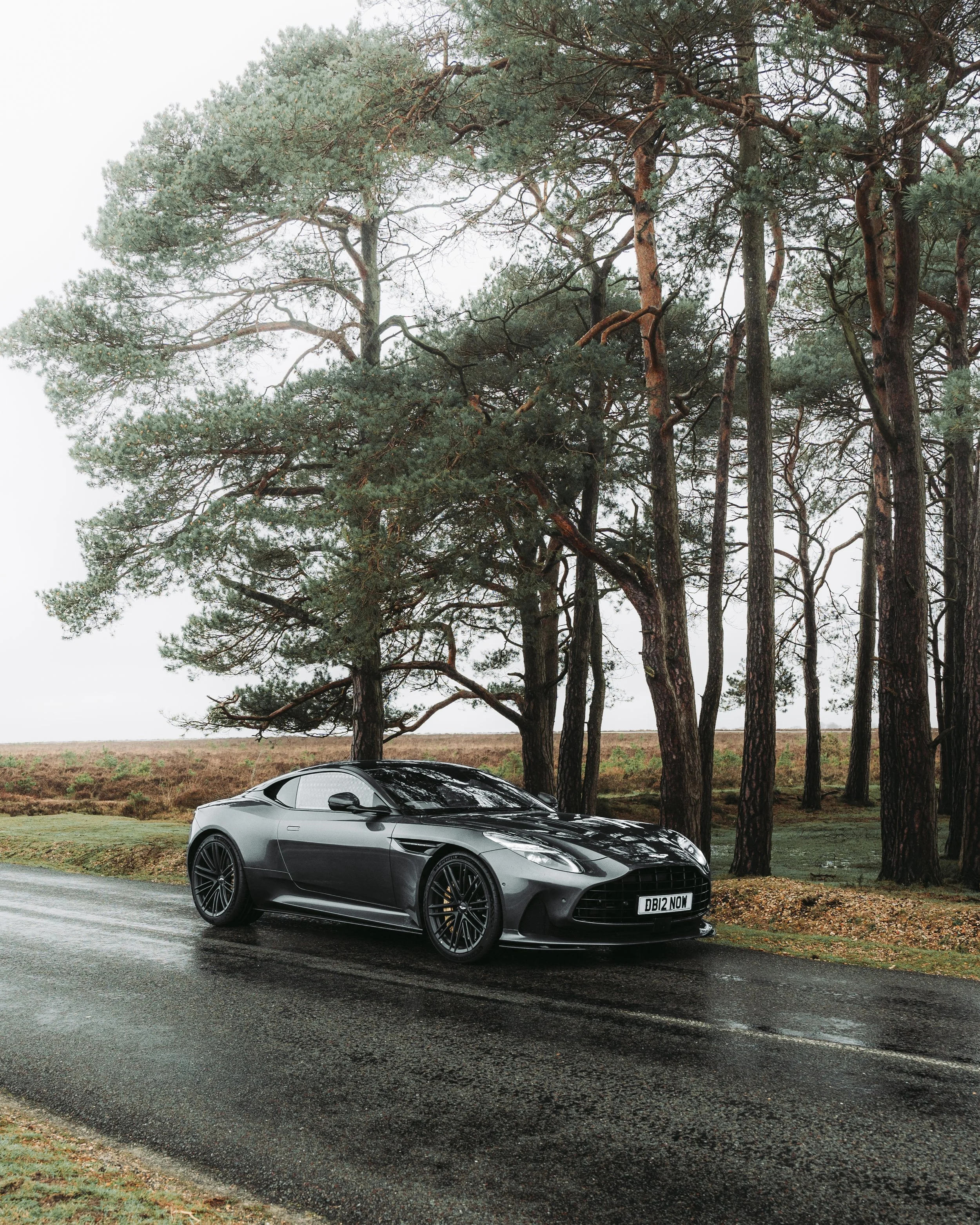Aston Martin DB12: A Fusion of Art and Engineering