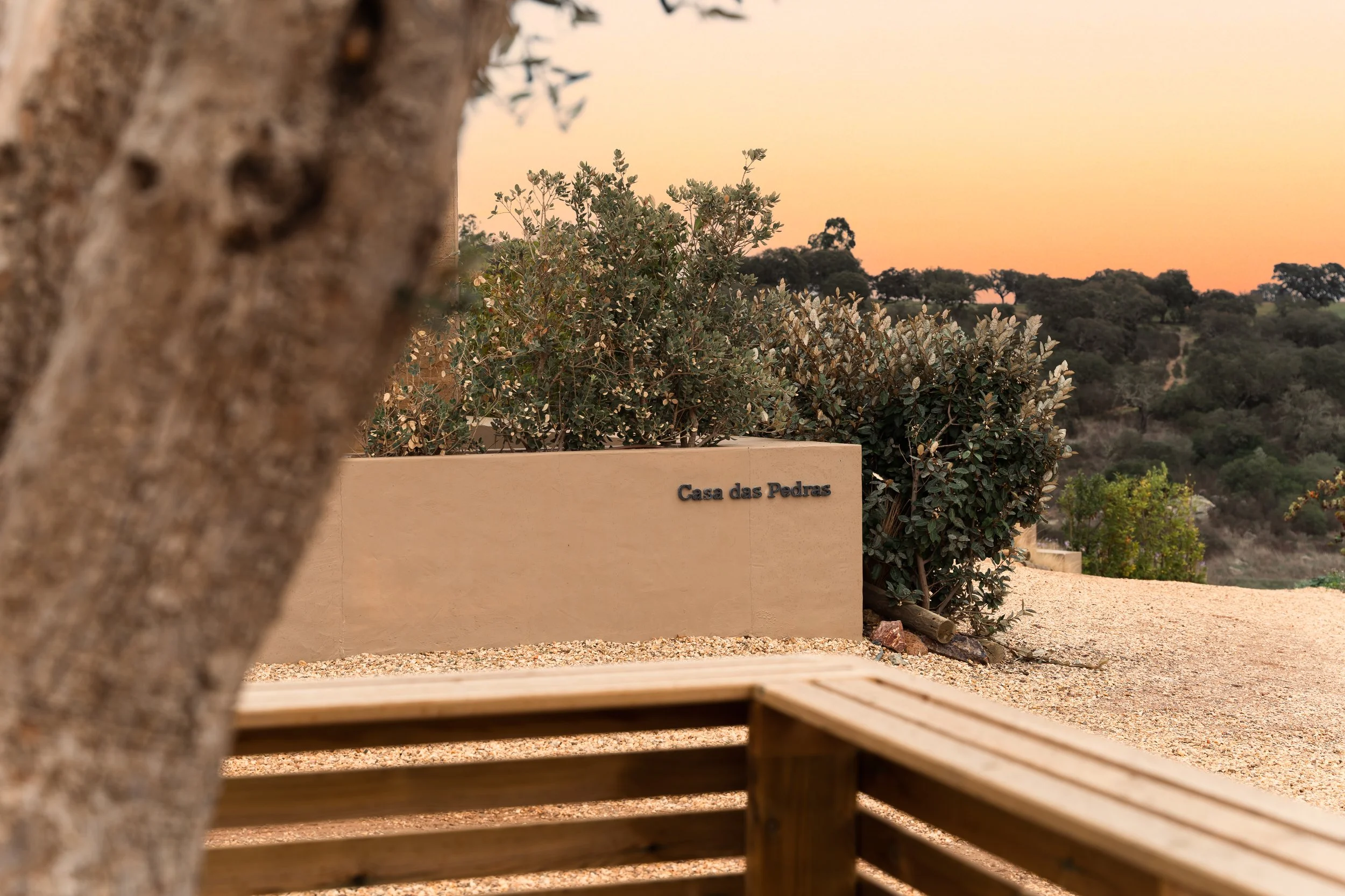 George C - Type7 - MNova00021.jpg