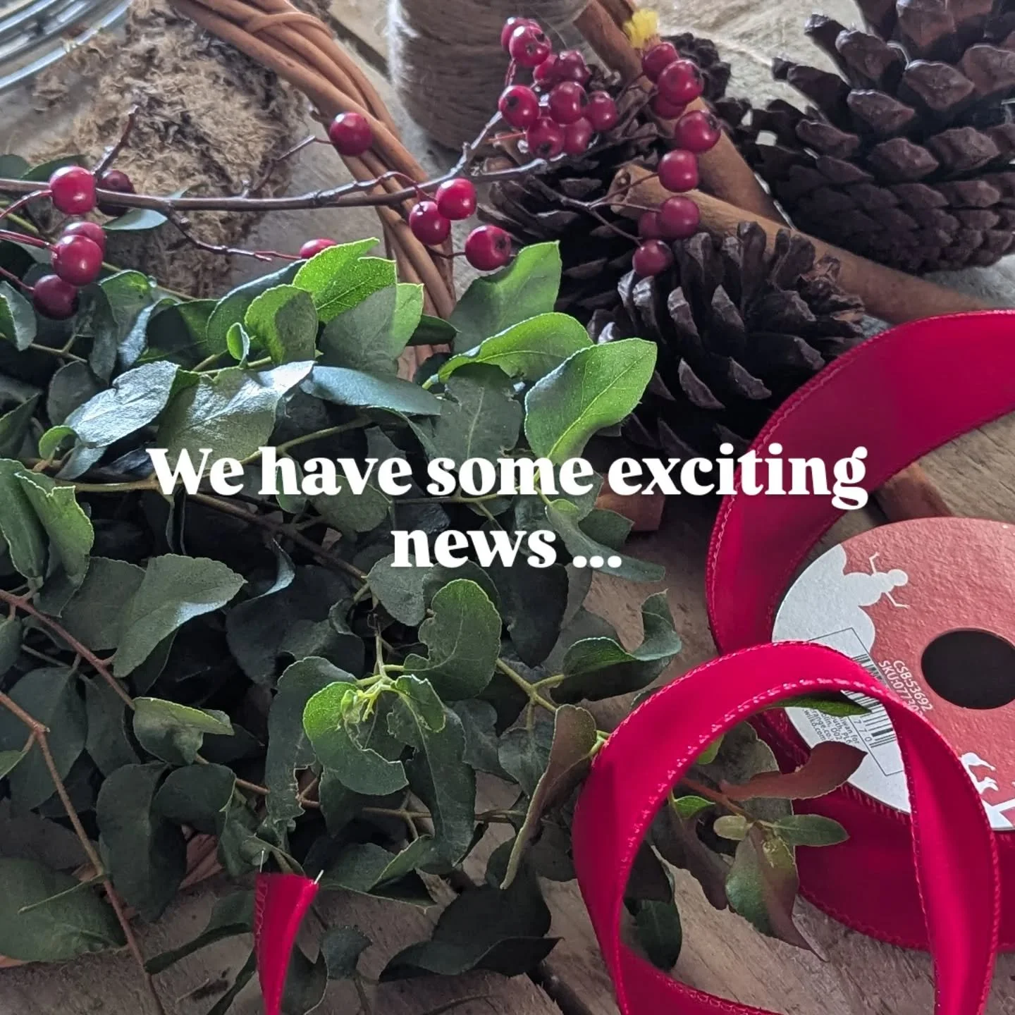 💐 The cut flower season may have ended but the crafting season is just beginning! 

🎄We wrapped up our cut-flower season at the end of September, and since then it&rsquo;s been a mix of sowing seeds, tidying the garden, and adding those final littl