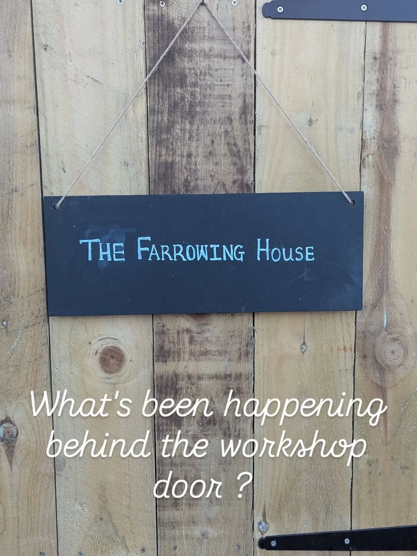 Here we are, as promised, our Christmas offerings! Scroll through to find out what's on offer! 
🎄🎄🎄
To remind you, all of these will be available to collect from me from 1st December if you order by Friday 28th November
🎄🎄🎄
We are also planning