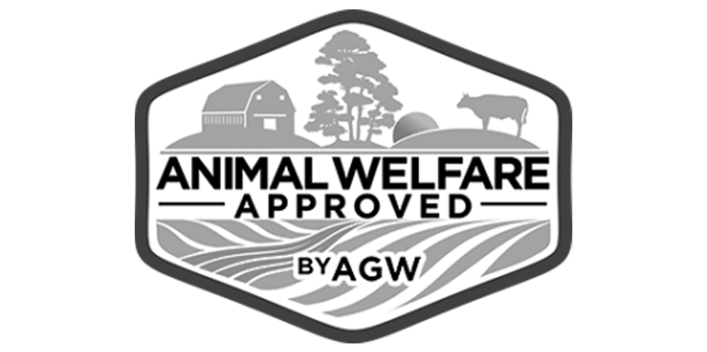 animal-welfare.png