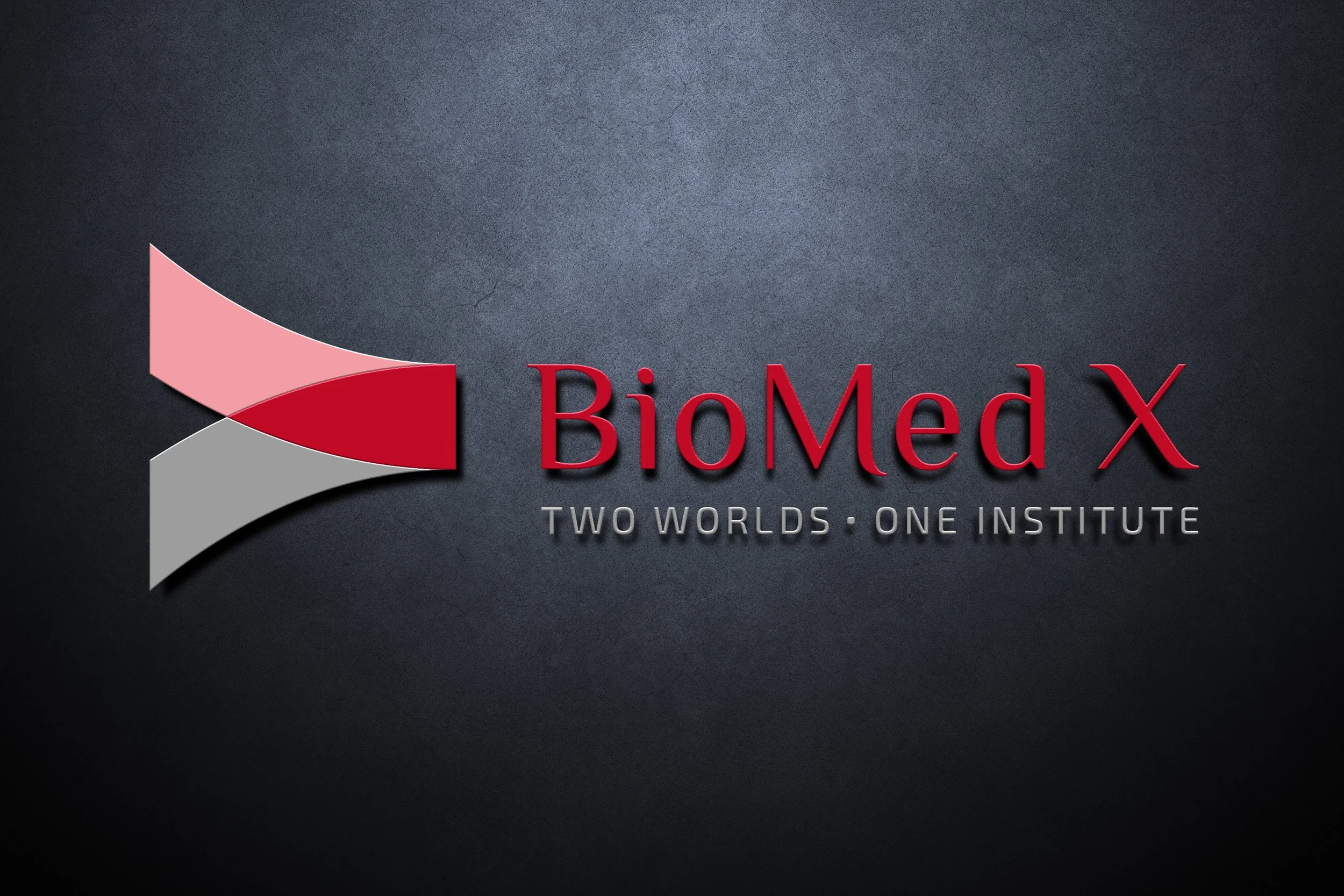 Logo.BioMedX.jpg