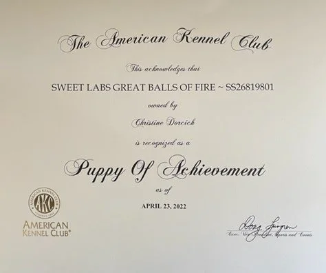 Geordie POA certificate.jpg