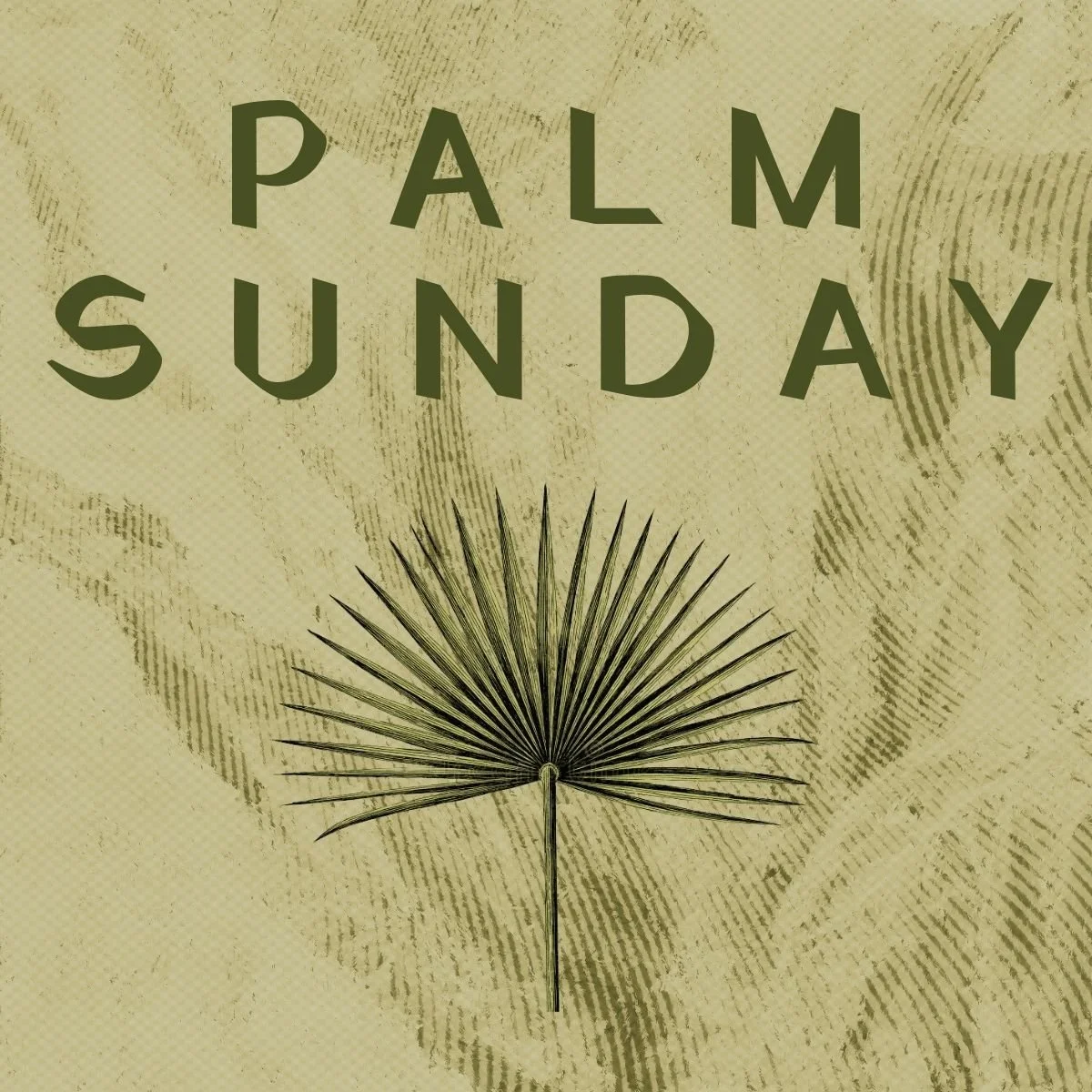 A Story of Surprising Salvation (Palm Sunday)