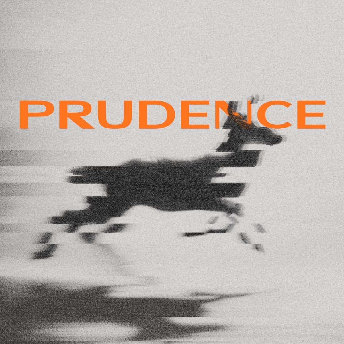 Prudence: How to Make Good Decisions