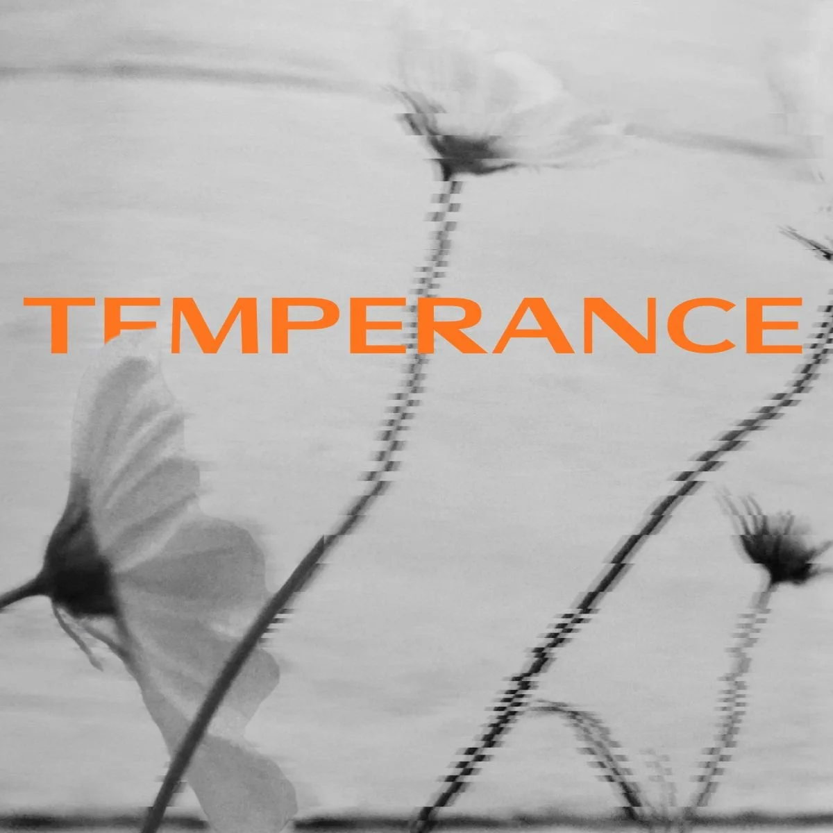 Temperance: How to Enjoy the Right Things