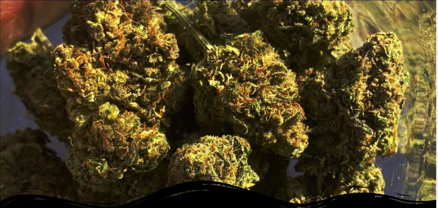 Inertia's Root Premium Small Batch Indoor CBD Bud (7 grams) - $60.00 - "ELEGANJA" for 10% off