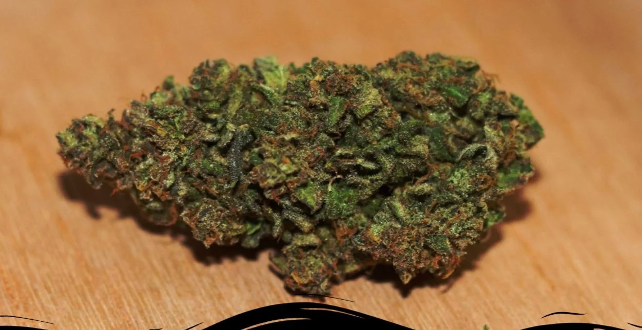 Inertia's Root Premium Flower Popcorn CBD Bud (7 grams) - $40.00  - "ELEGANJA" for 10% off