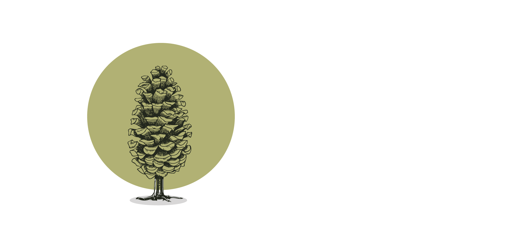 GroeiWerk, image size:2033x938