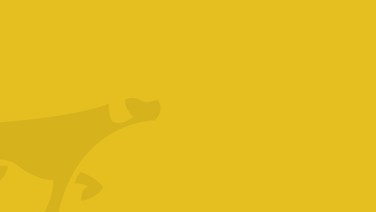 Pointer Financial Group | Discover Your Financial Opportunities Today