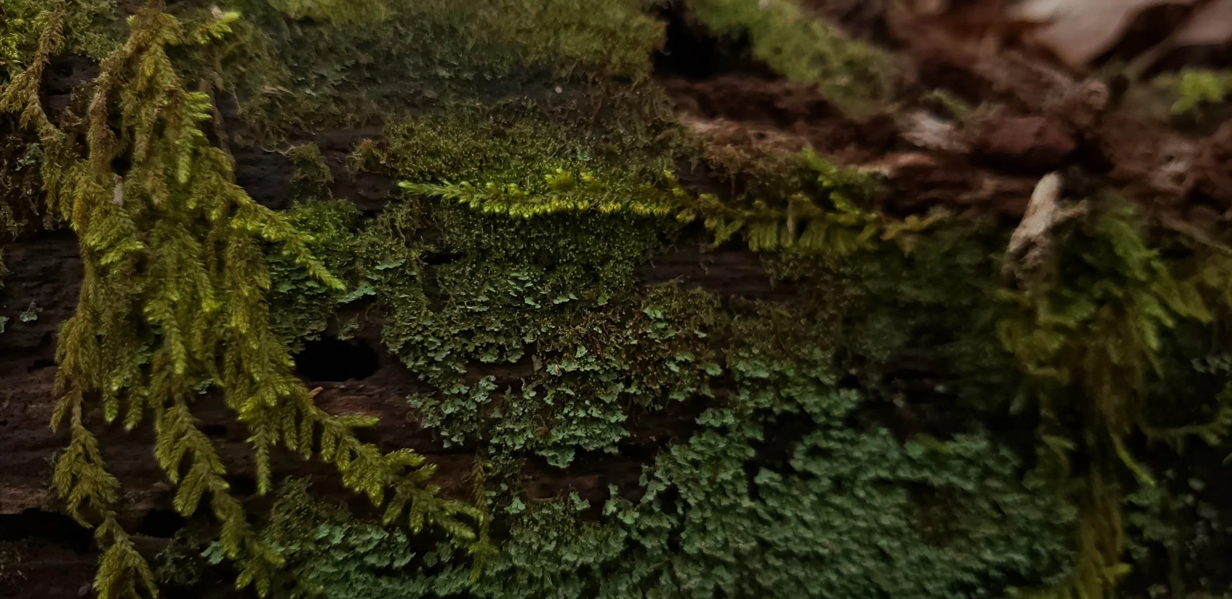 20181214_151420.jpg