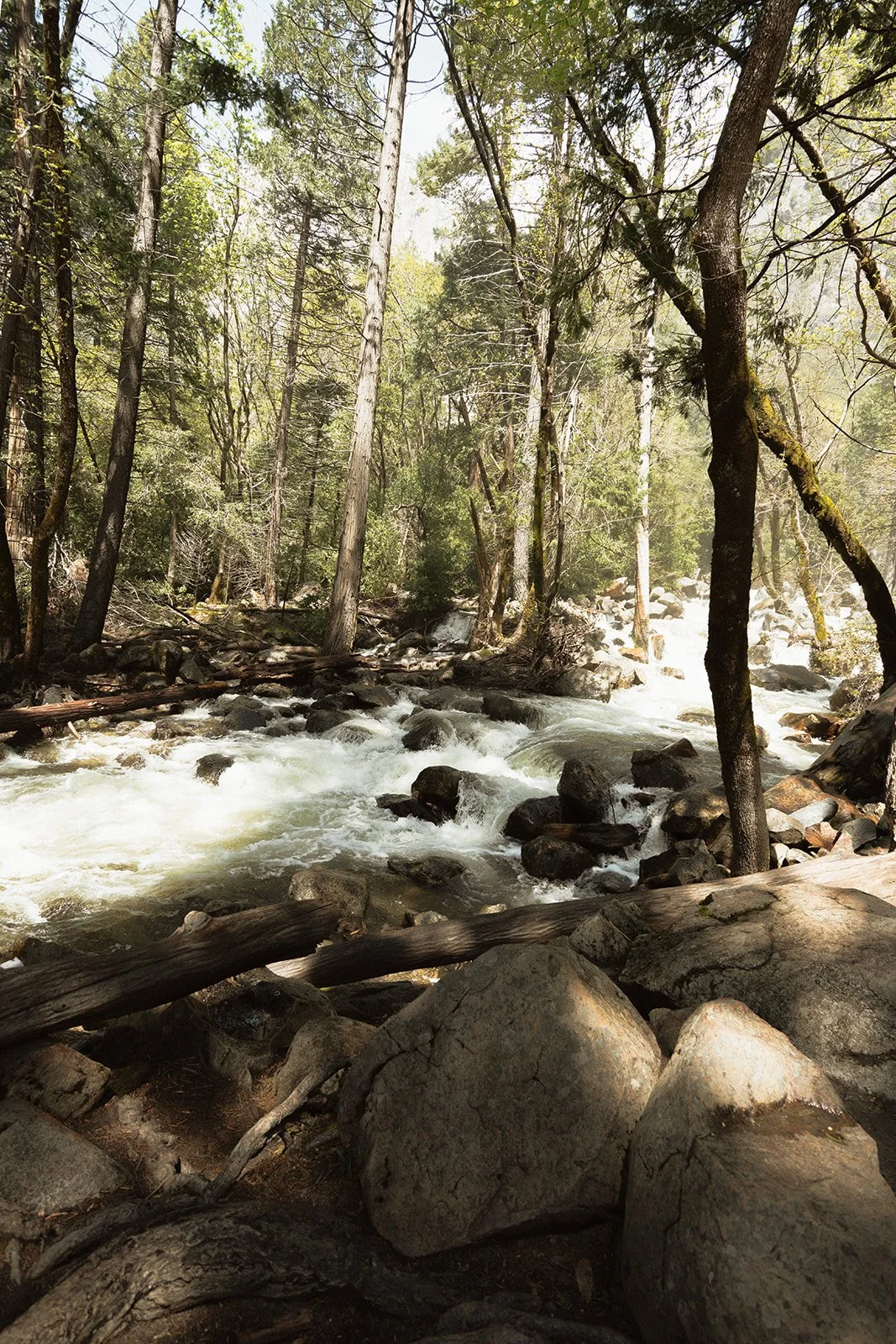 yosemite-wedding-photographer-120.jpg