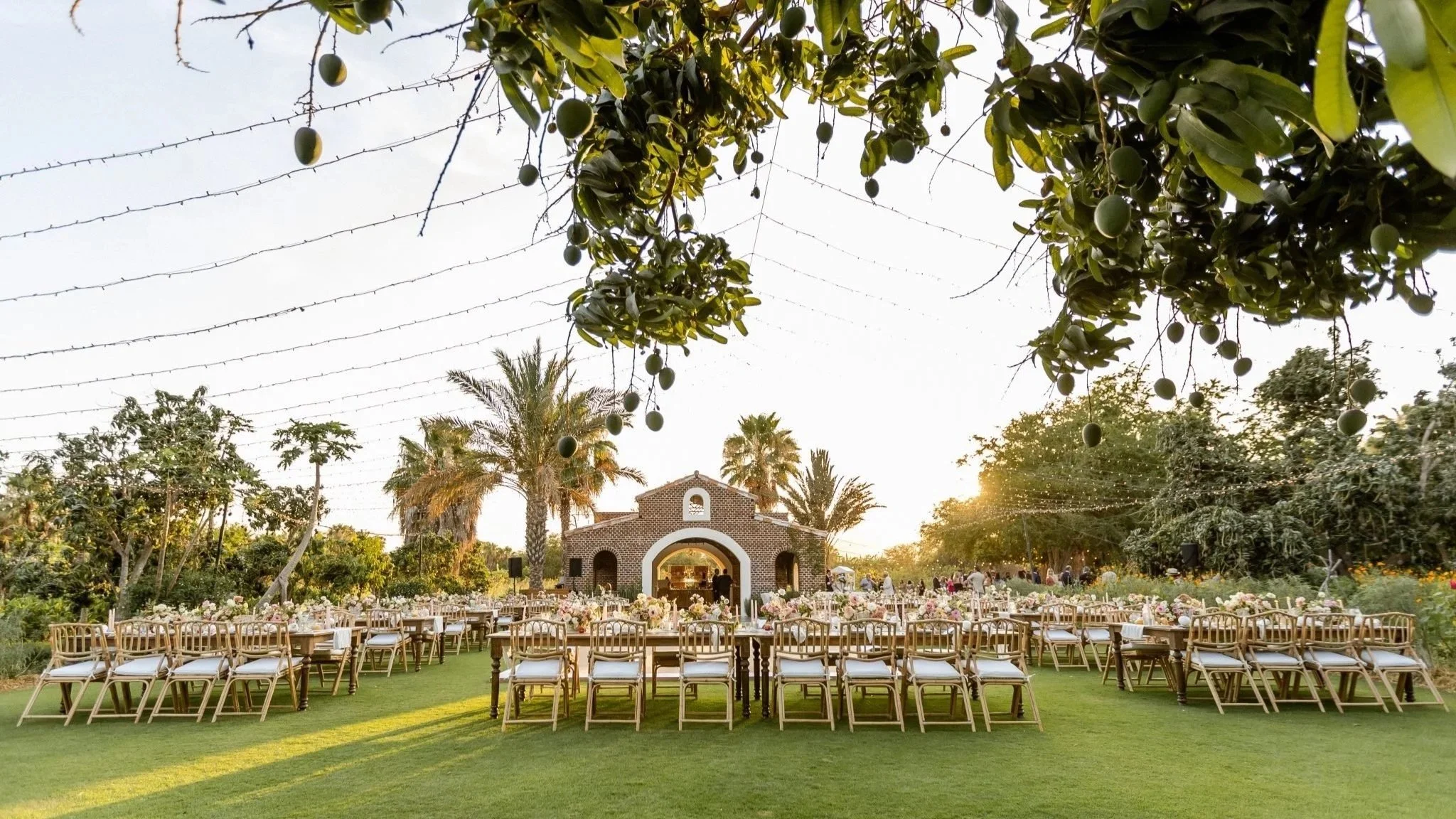 Flora_Farms_Cabo_Wedding_Photographers_Sara_Richardson-2034-scaled.jpeg