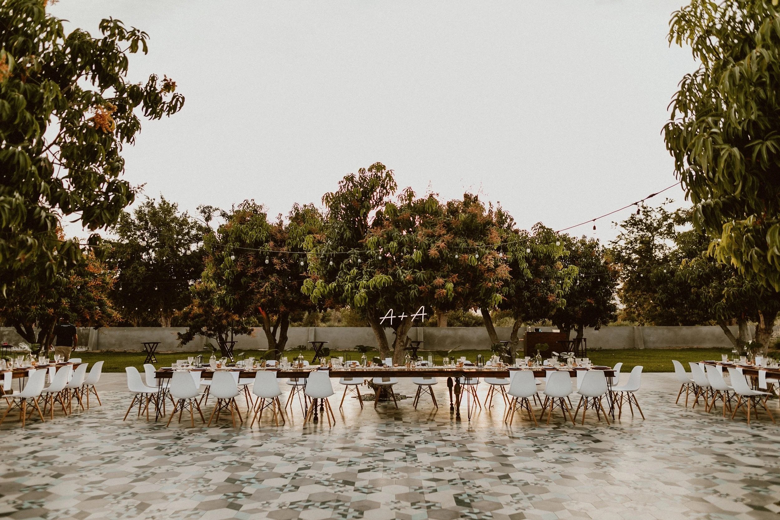 Acre-baja-mango-grove-los-cabos-wedding.jpeg