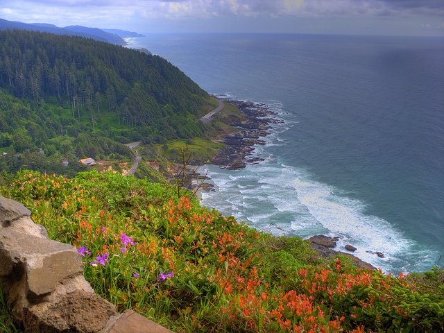 capeperpetuabyalex1derr.jpg