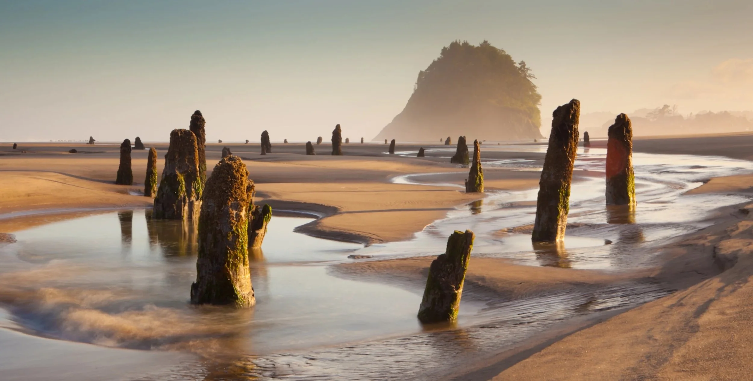 neskowin-beach-oregon-ghost-forest-via-magazine.jpg.jpg