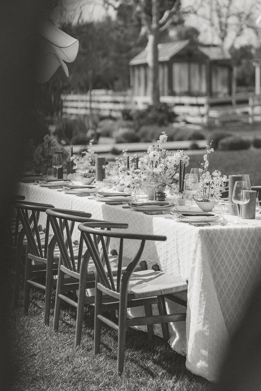 santa-ynez-wedding-photographer-133.jpg