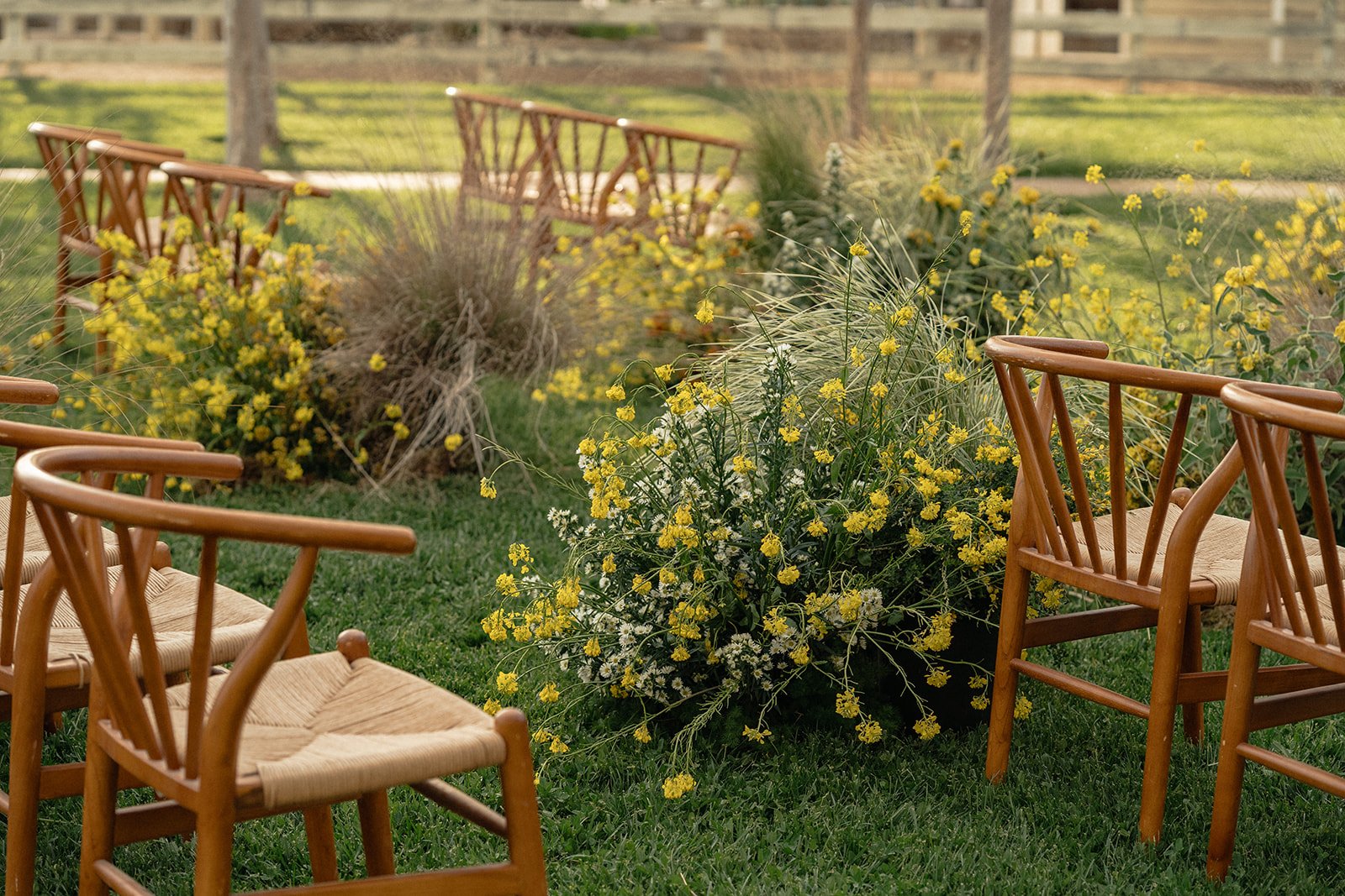 Cielo Farms Wedding: A Malibu Venue Guide