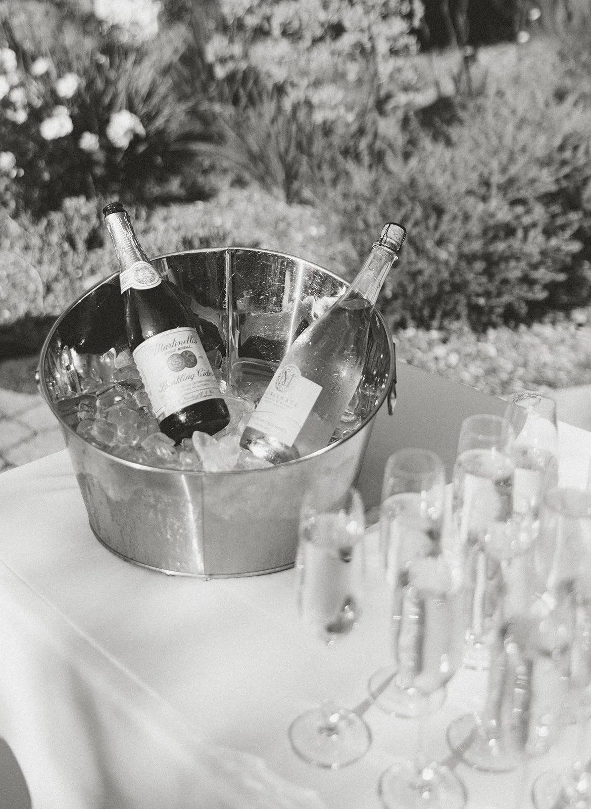 monserate-winery-wedding-photographer-506.jpg