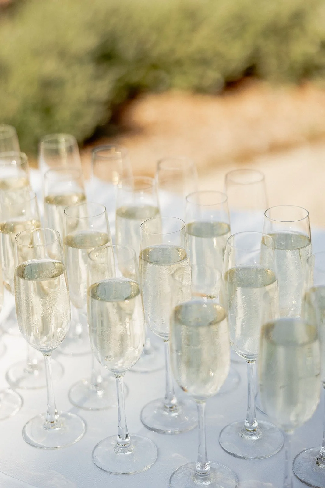 monserate-winery-wedding-photographer-505.jpg
