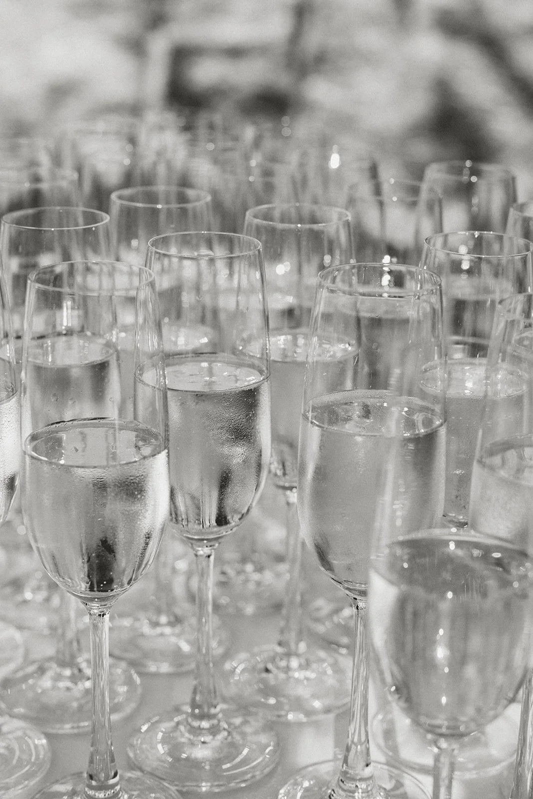 monserate-winery-wedding-photographer-299.jpg