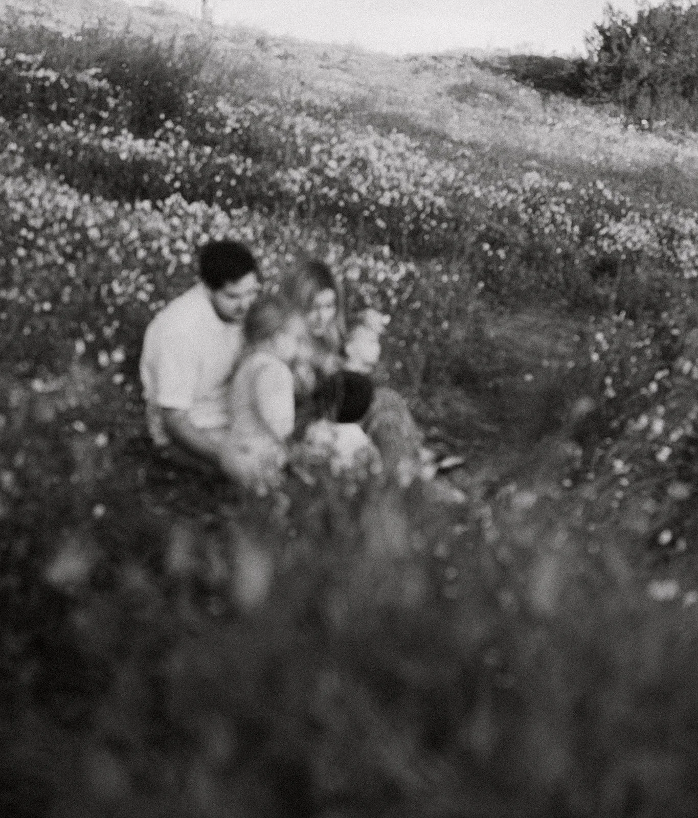 Southern California family photographer captures family snuggling in the poppy covered hills in riverside California.