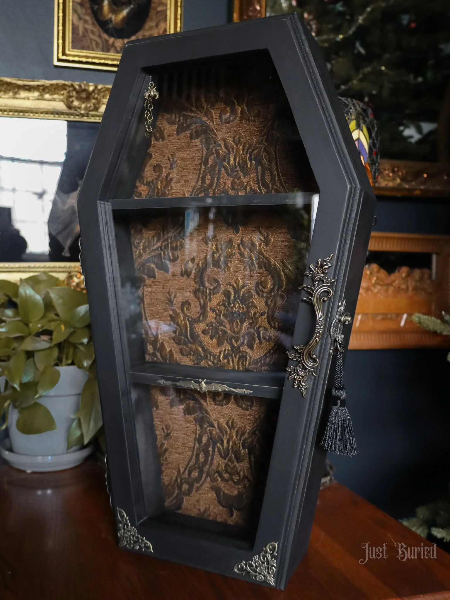2ft curio-1.jpg