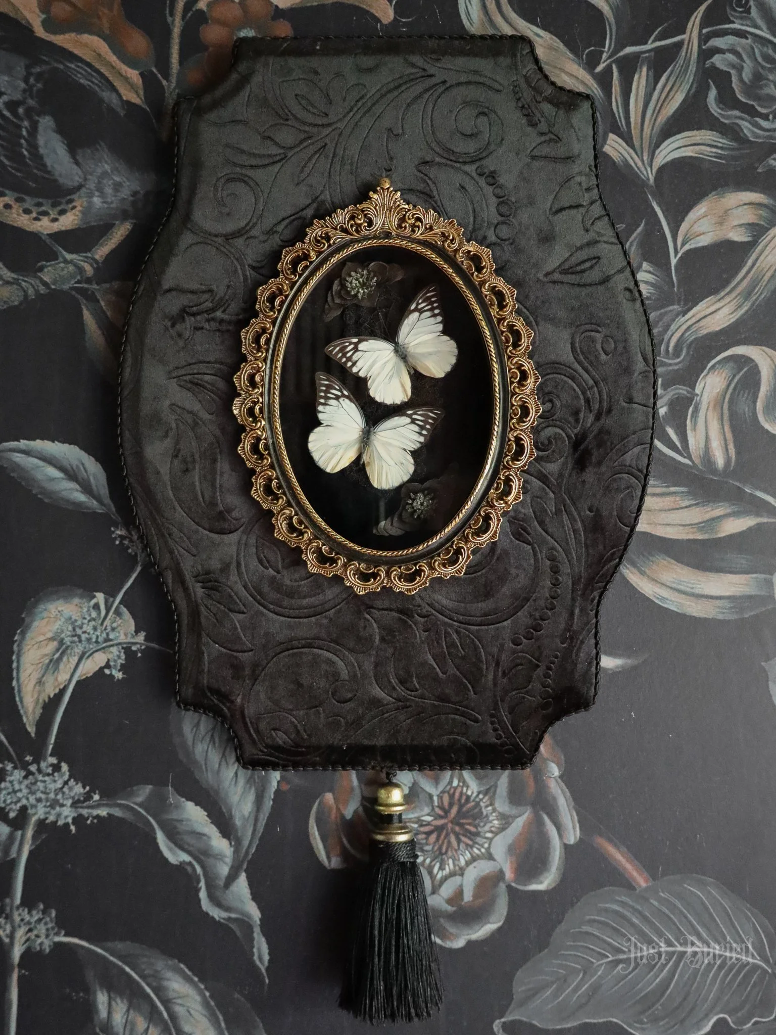 Custom Framed Prioneris Thesthylis Butterflies