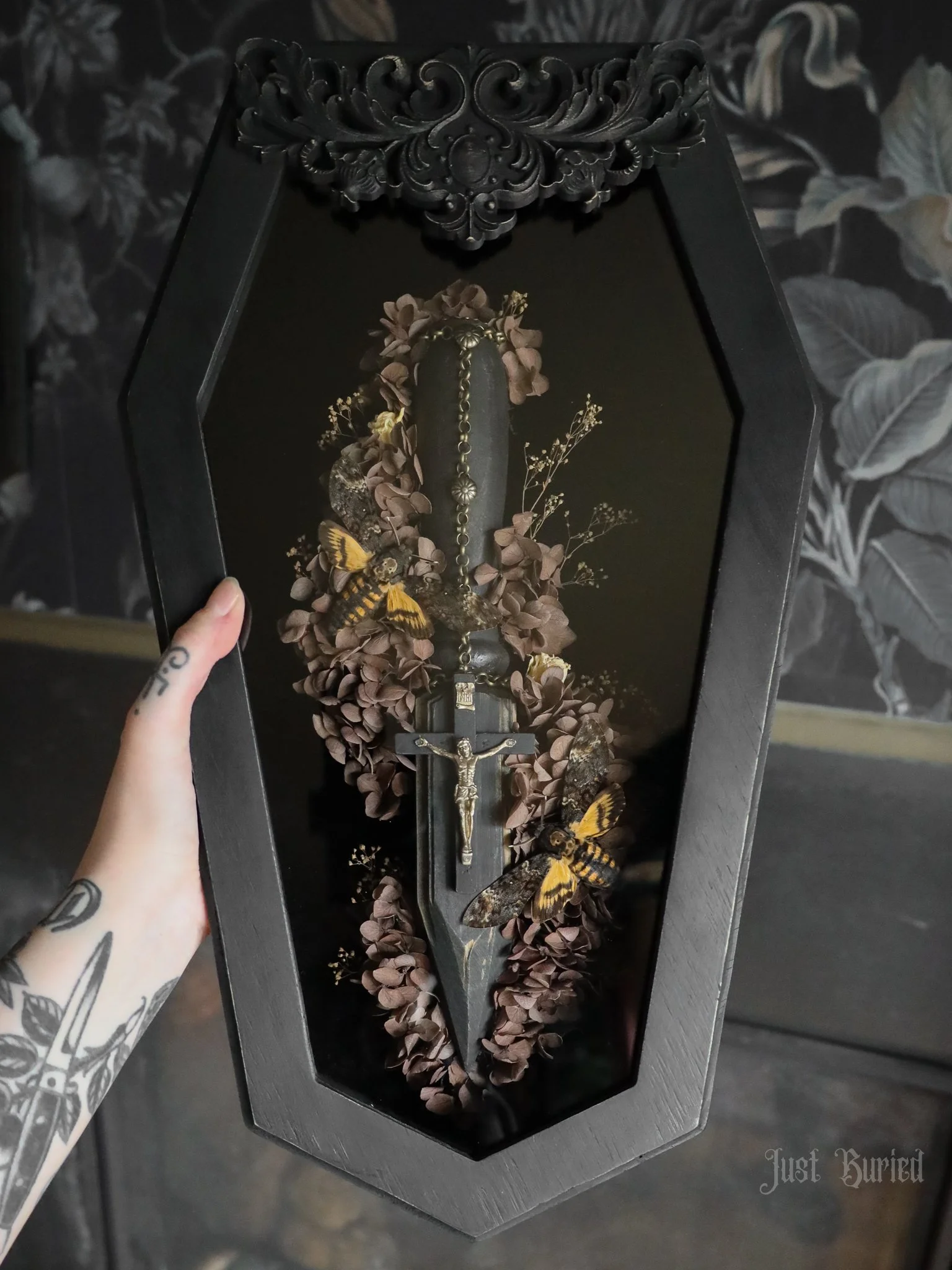Death's Head Moth Coffin Shadowbox