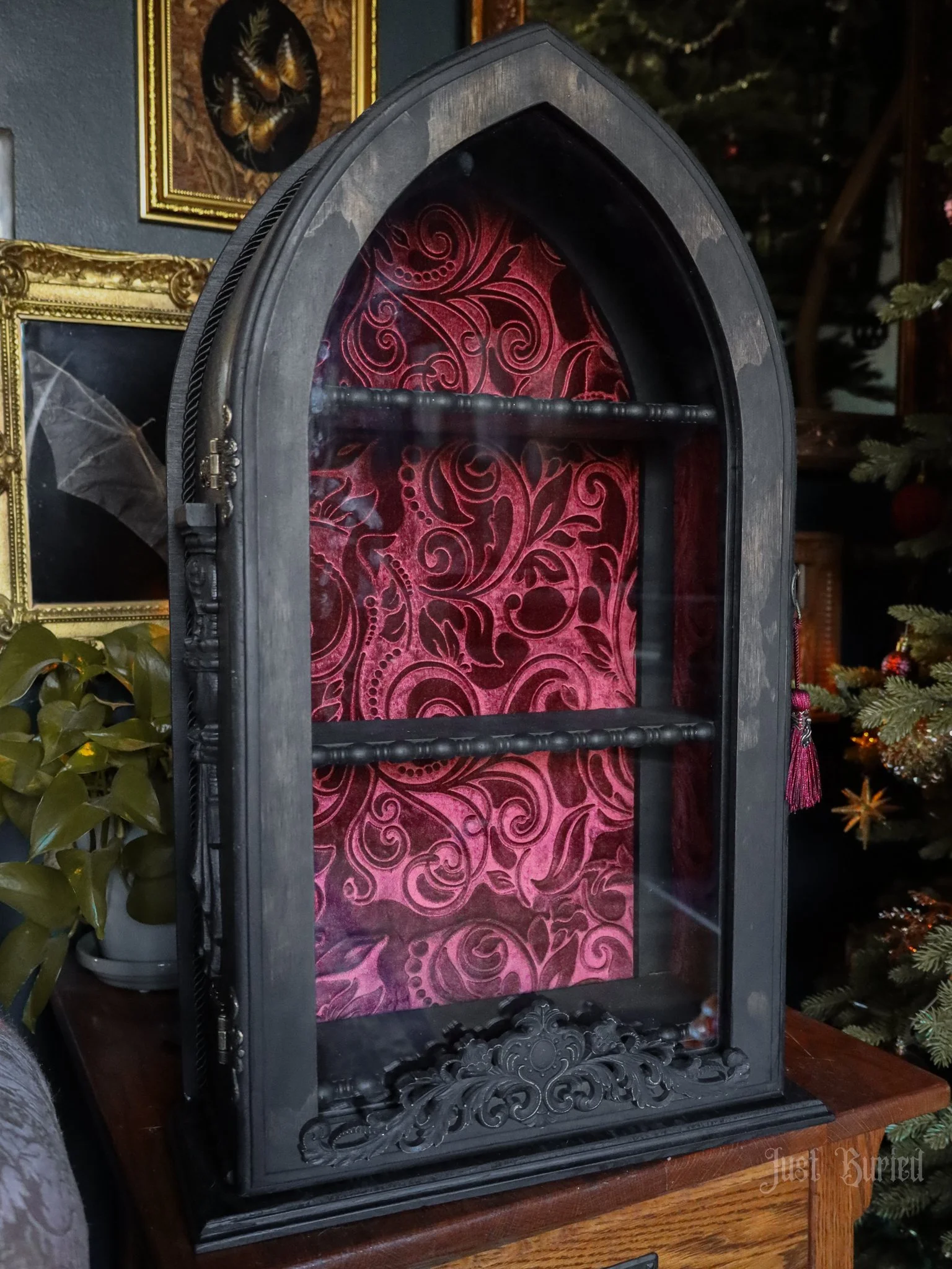 cathedral curio-1.jpg