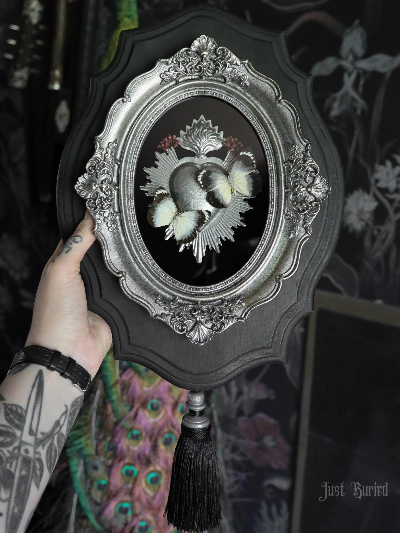 Sacred Heart Delias T. Butterflies