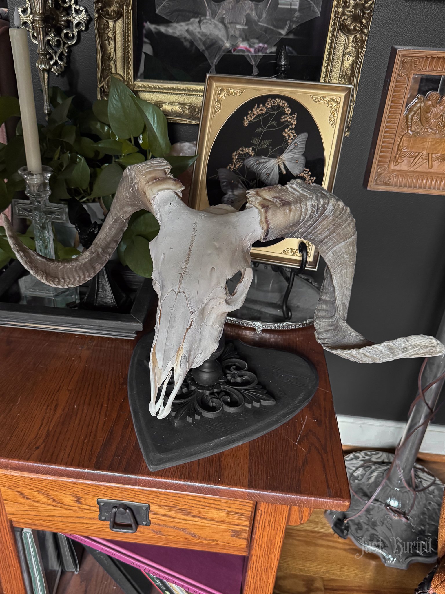 Ram Skull Planchette Tabletop Mount