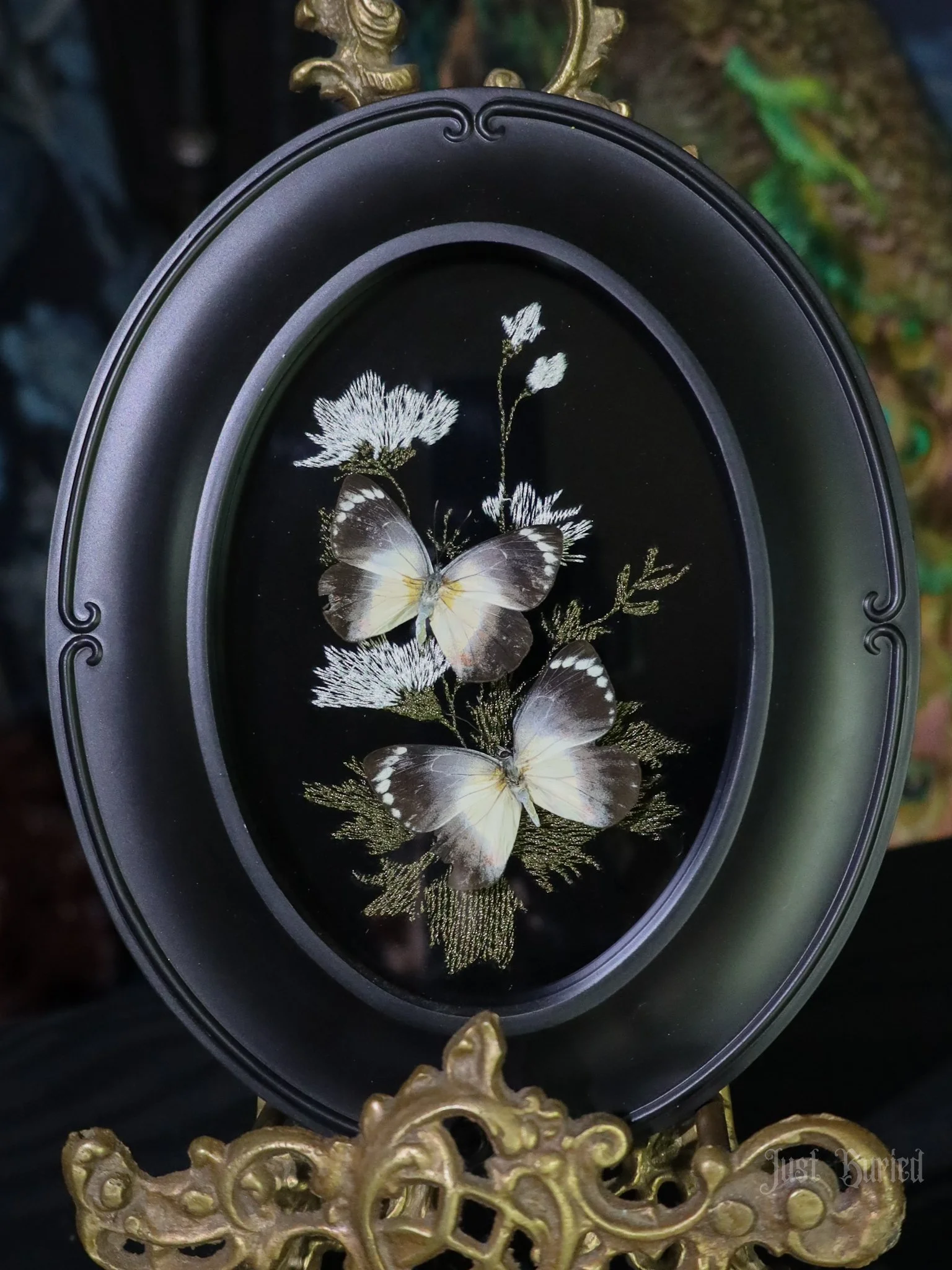 Delias t. Butterflies on Custom Embroidery