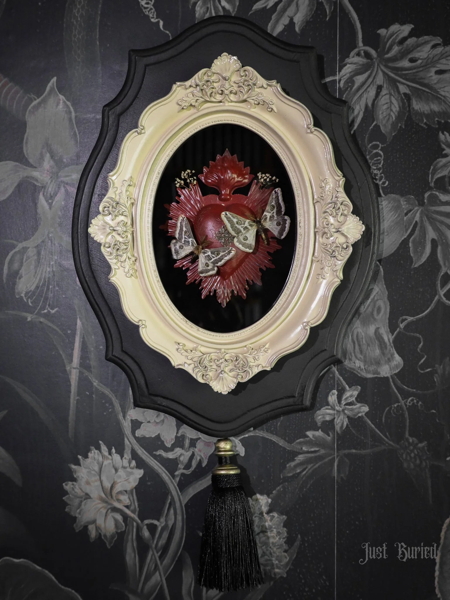 Sacred Heart Agapema A. Moths