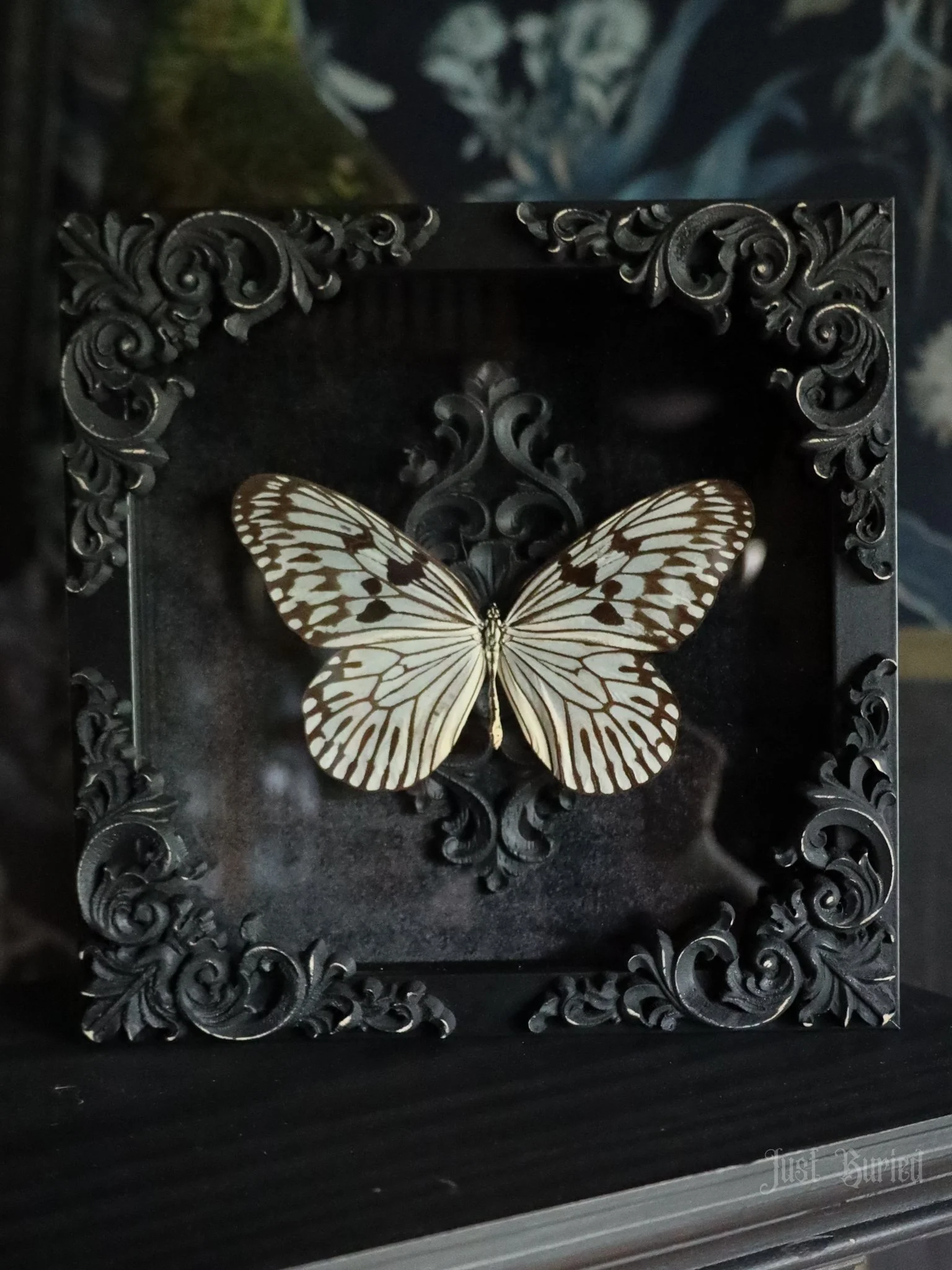 Framed Idea Butterfly