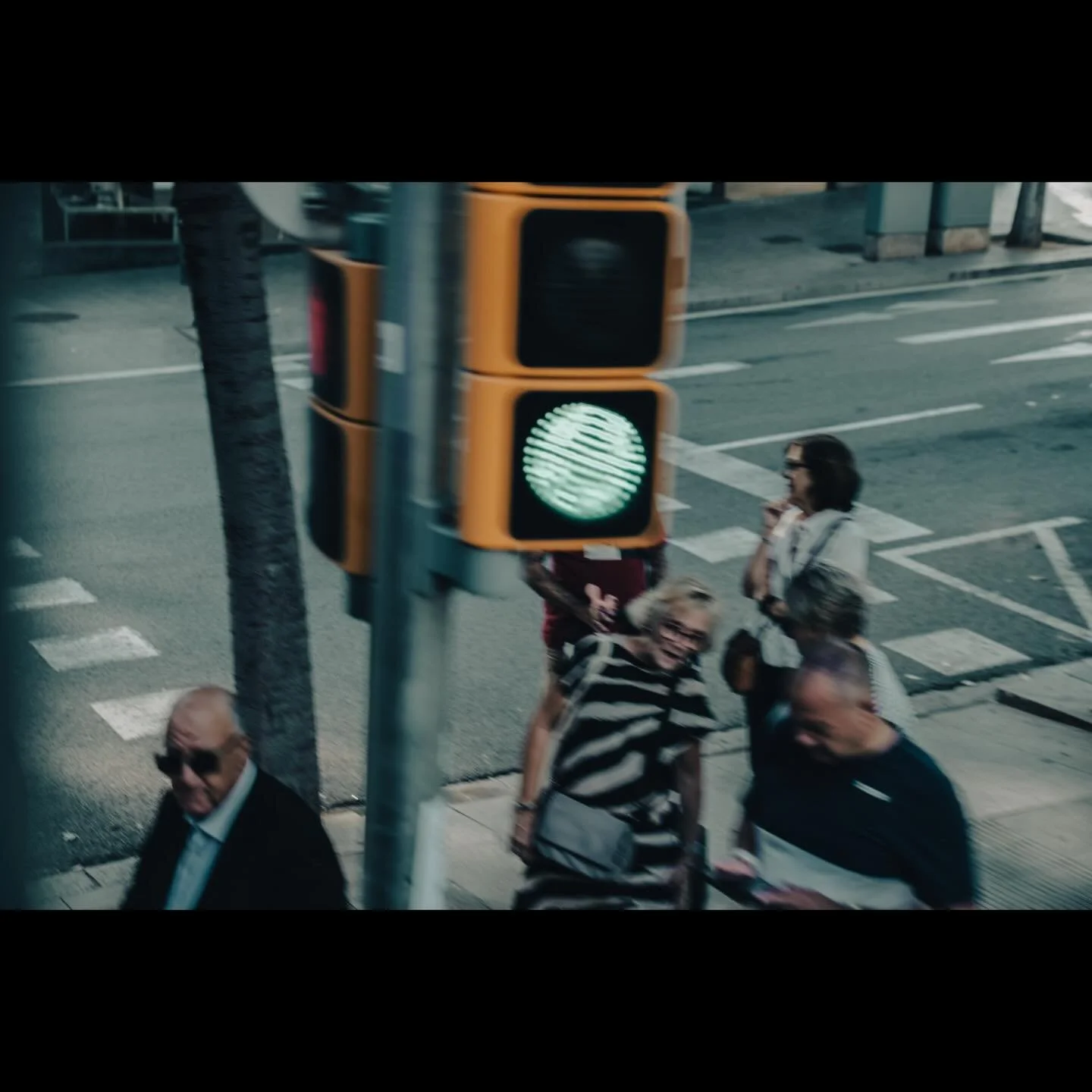 Bus tours and trains