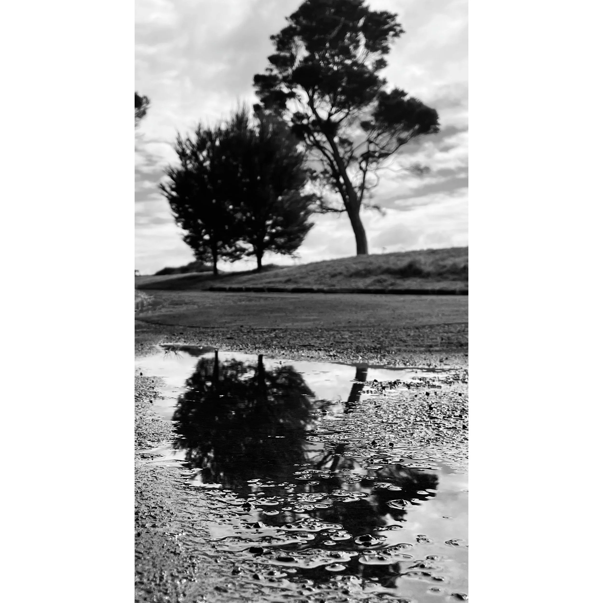 Black and white photo of trees reflected in a puddle on a dirt road with cloudy sky overhead.