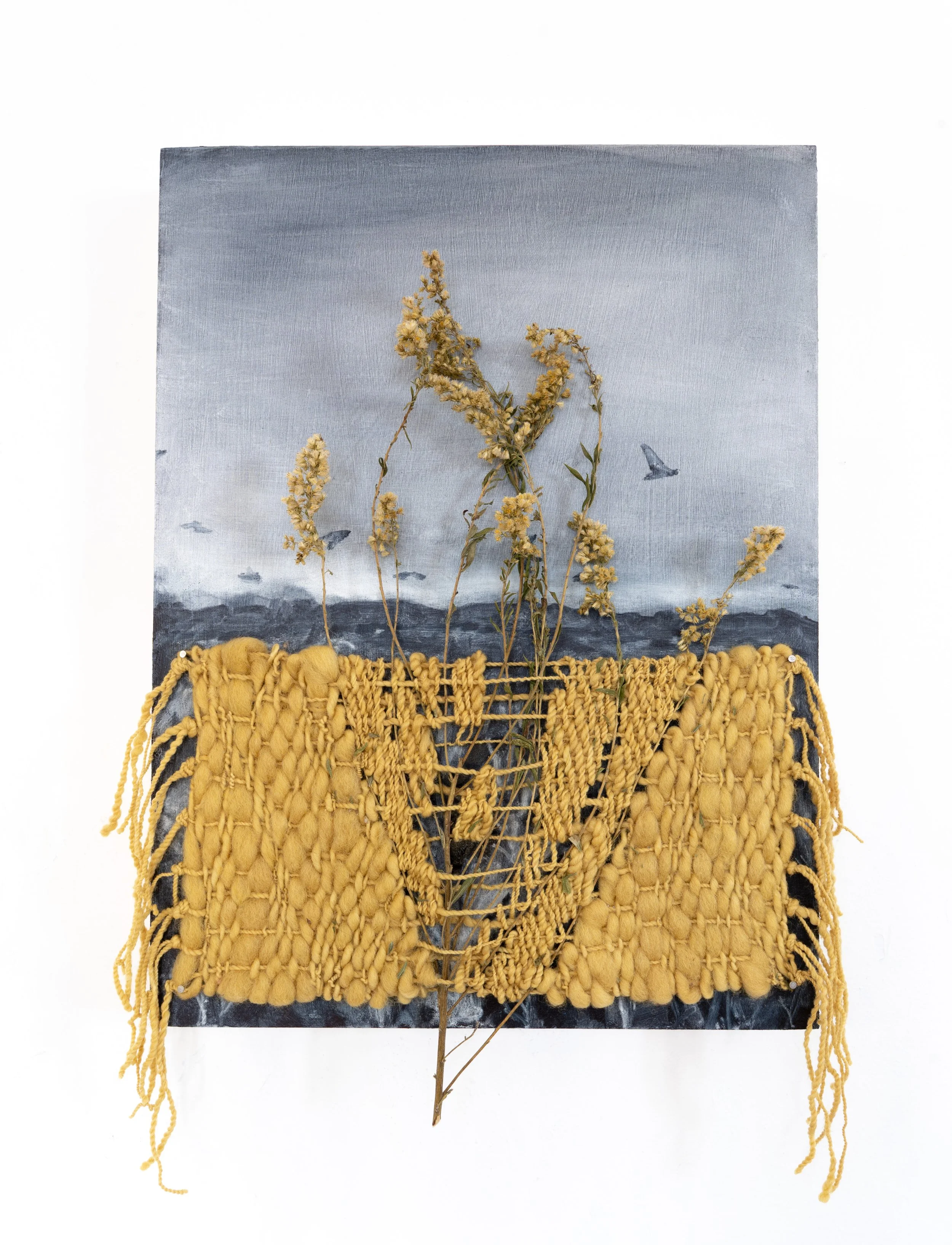 Goldenrod Song, 2026