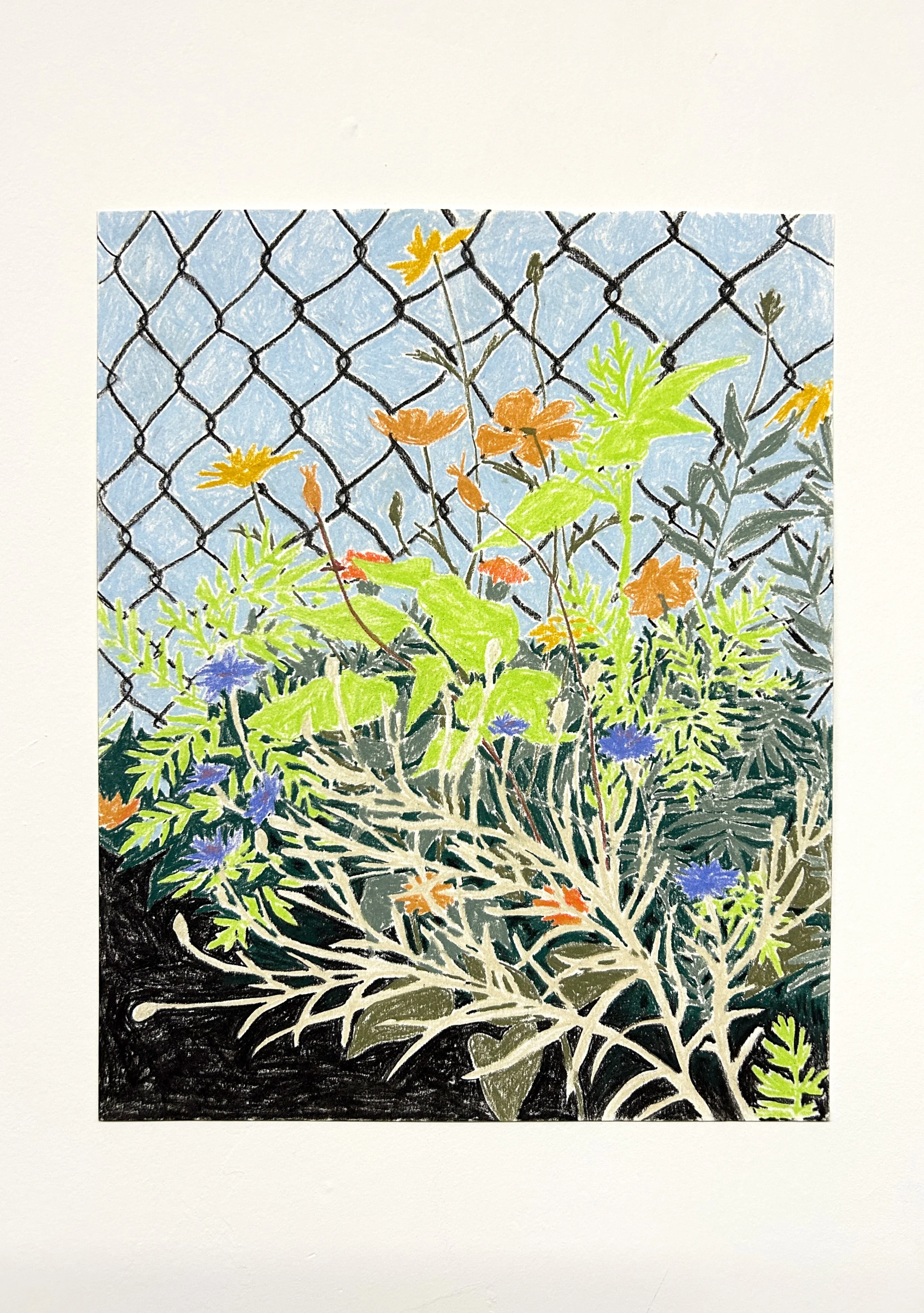 Out of Bounds, 2025. Chalk pastel on paper