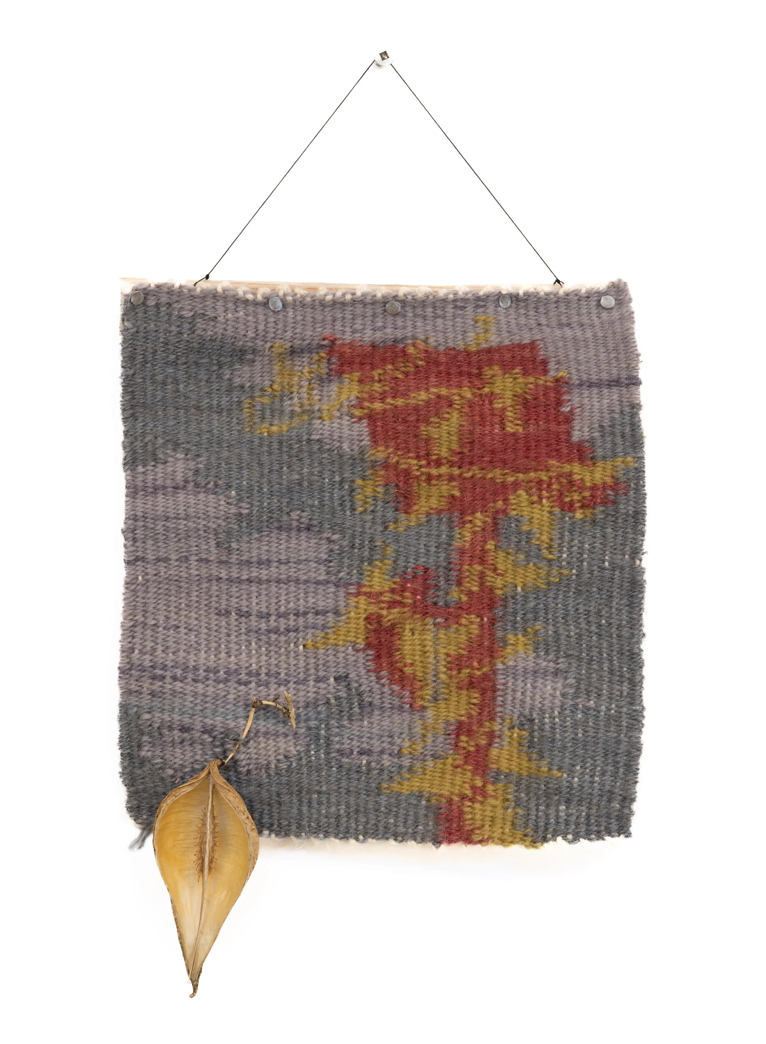 Honeyvine Milkweed Overtakes a Flock Camera, 2026. Naturally dyed wool. 