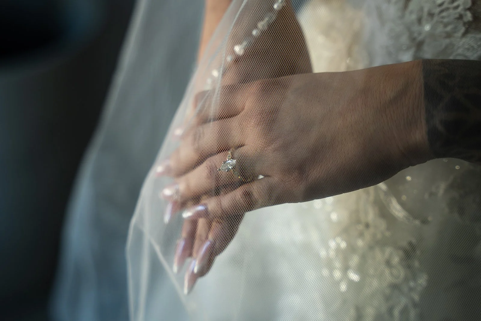 SONY ILCE-7RM5 6656x4608_001534_websize.jpg