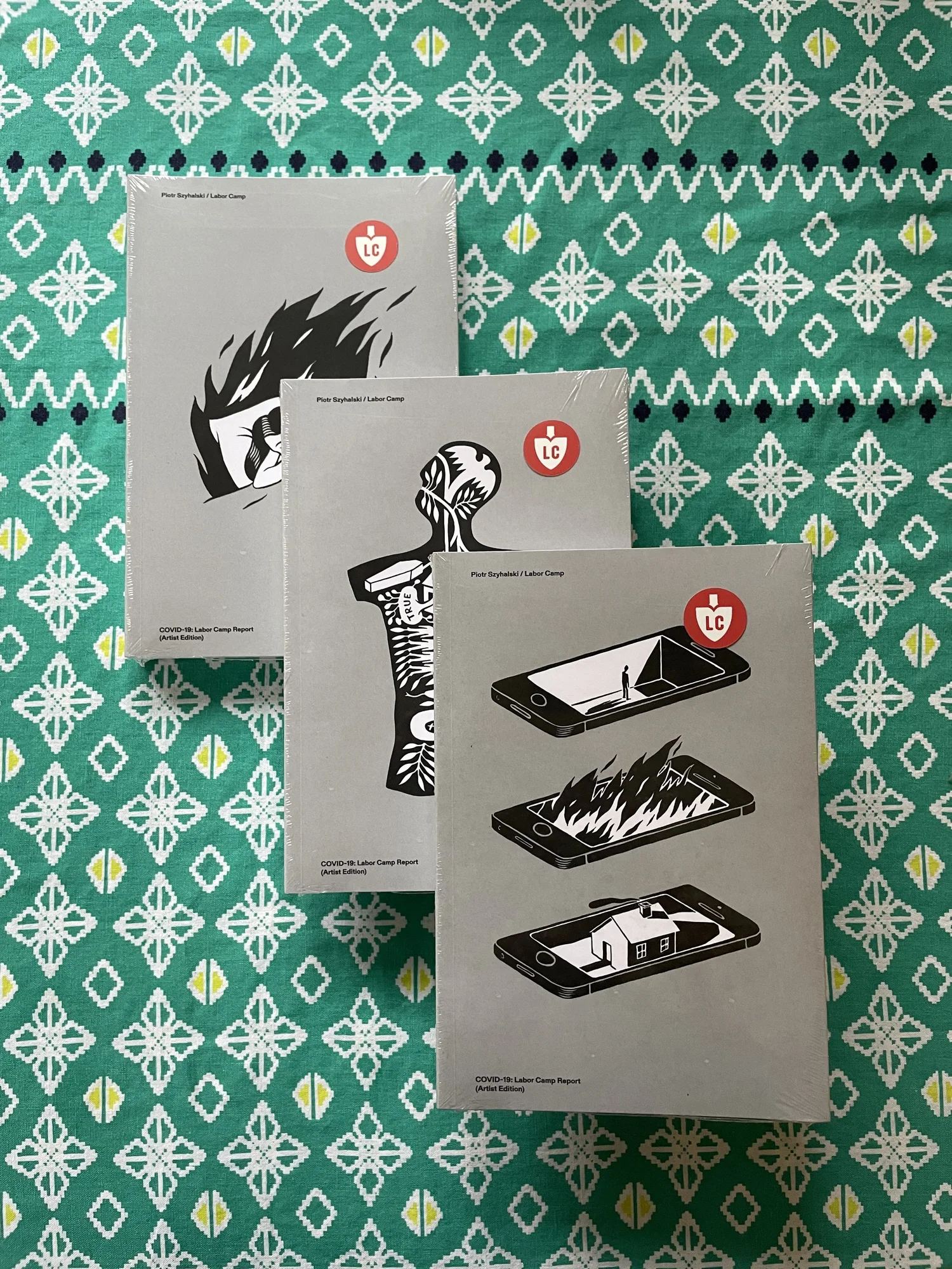 COVID-19 Labor Camp Report Book (Signed Artist Edition) — Labor Camp