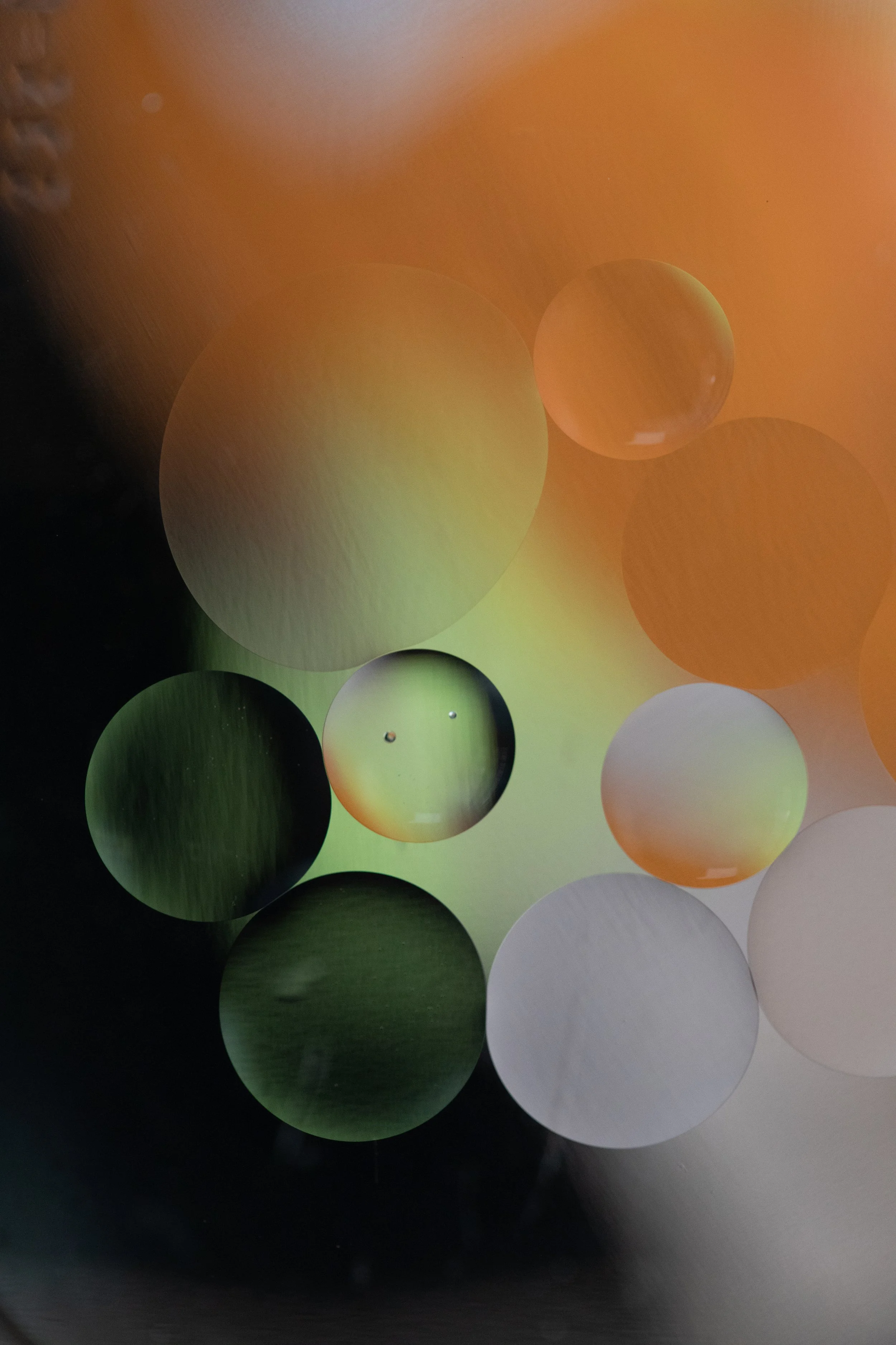 PB_Macro set 1_FA22-214.jpeg