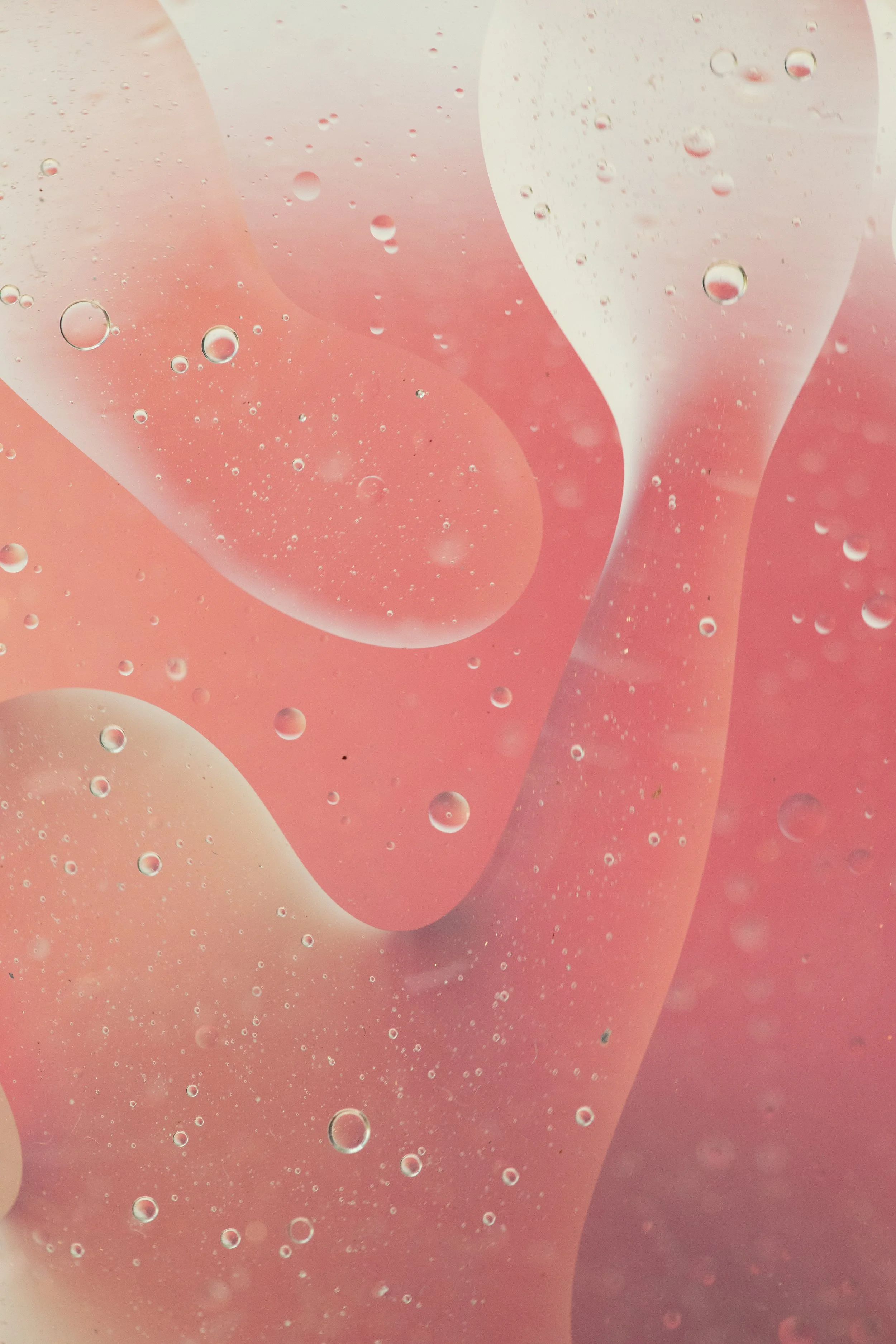 PB_Macro set 1_FA22-230.jpeg