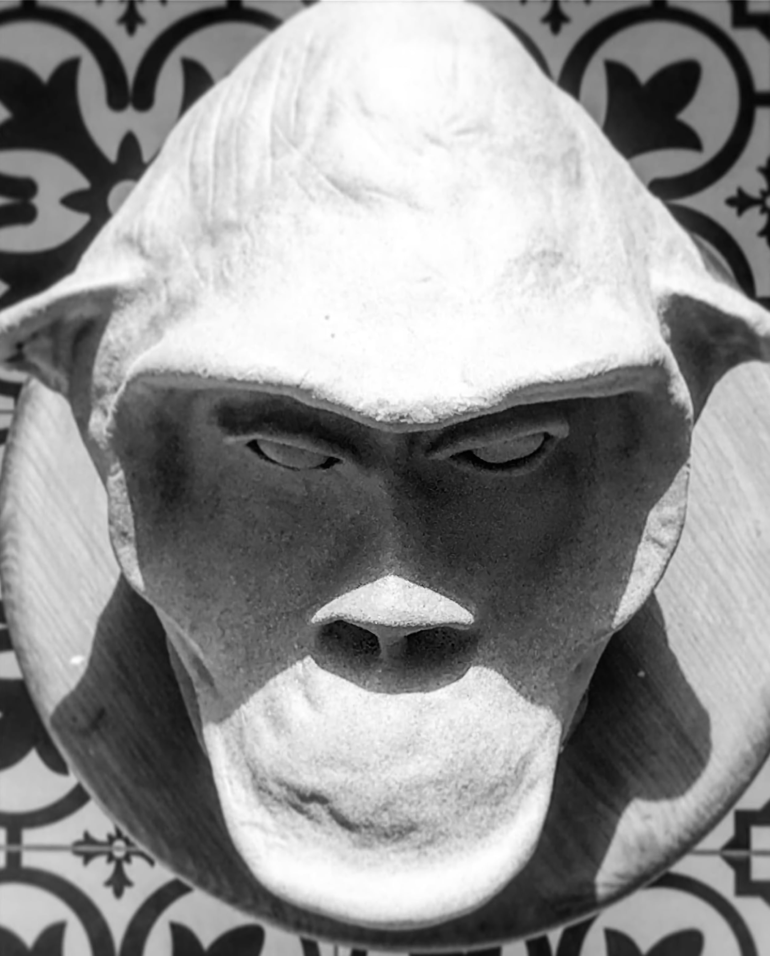 andre-camaleao-macaco-5-criancas-loucas.jpg