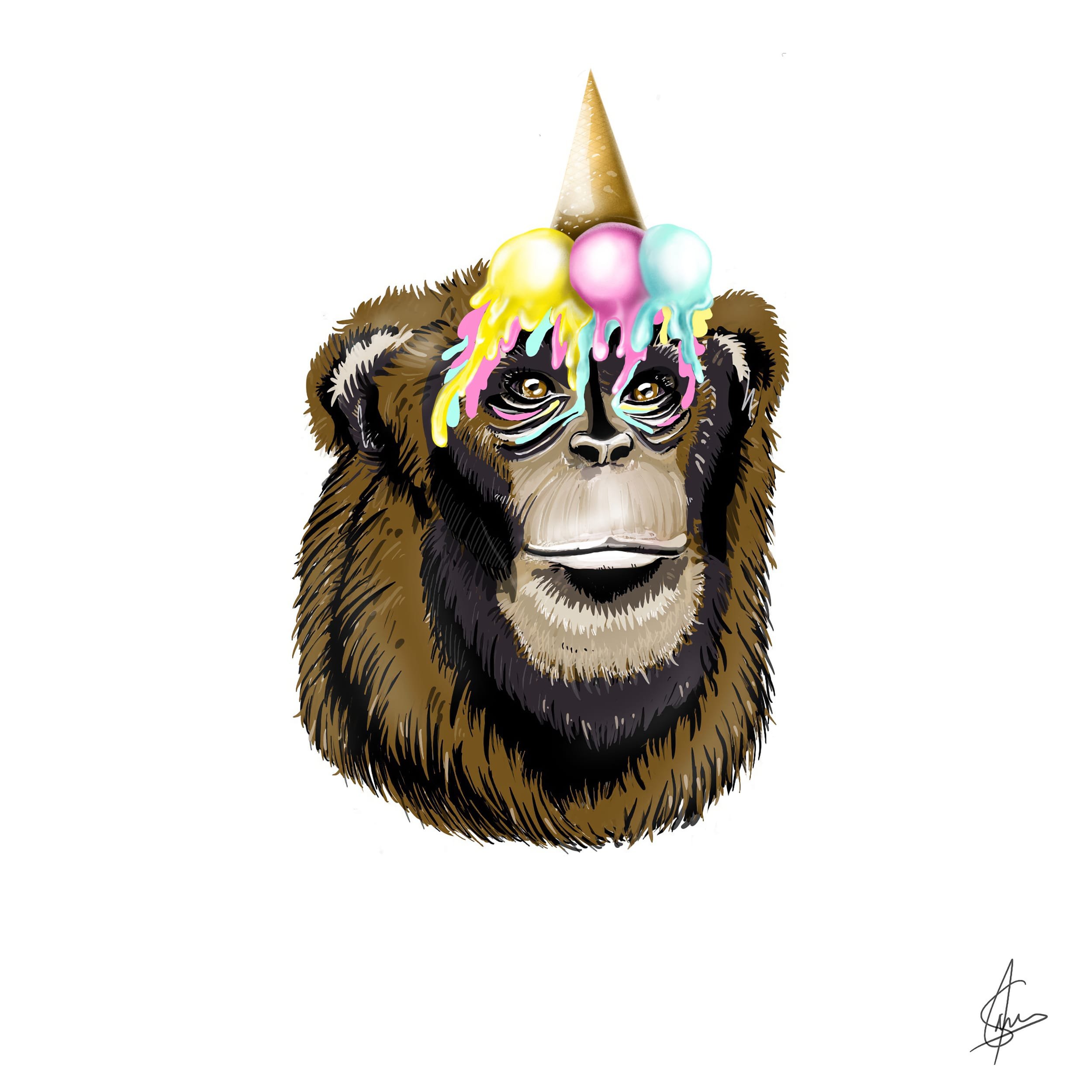 joao-camil-macaco-13-criancas-loucas.jpg