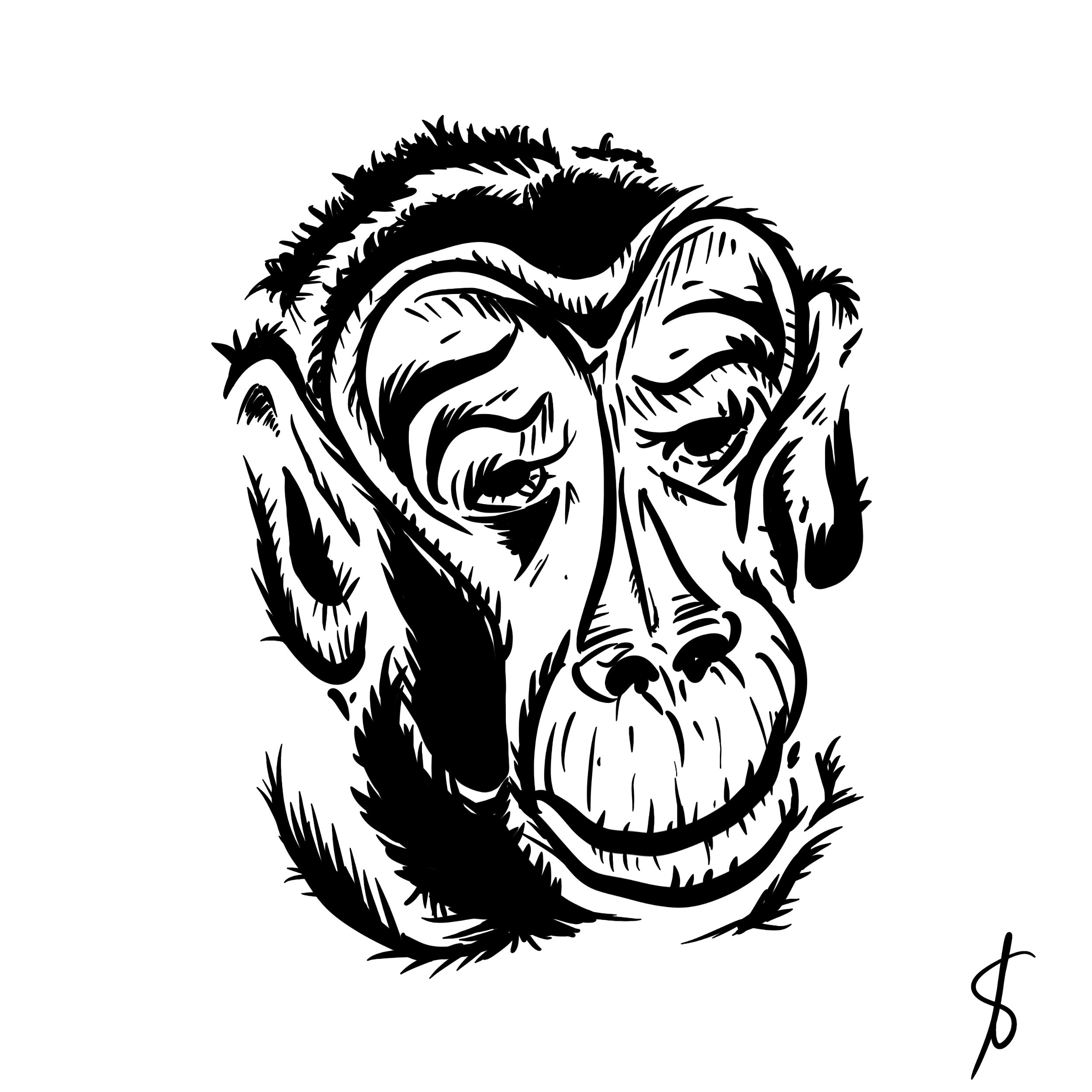 Estudos e ilustrações para macaco